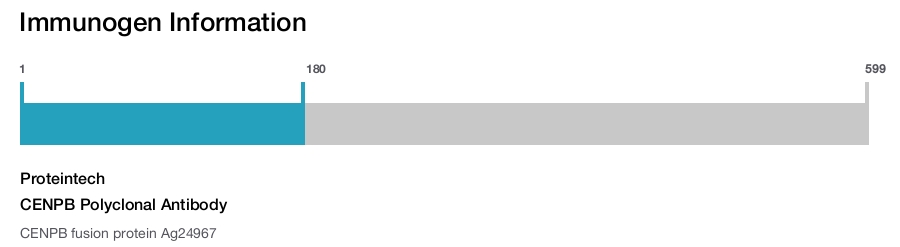 CENPB Polyclonal Antibody