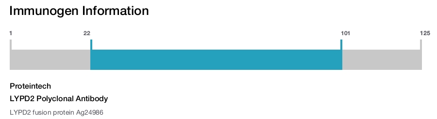 LYPD2 Polyclonal Antibody
