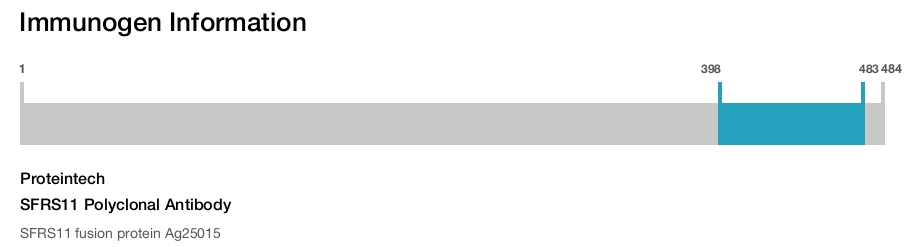 SFRS11 Polyclonal Antibody