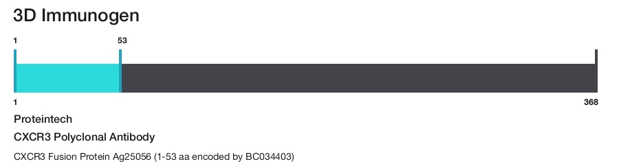 CXCR3 Polyclonal Antibody