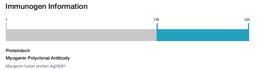 Myogenin Polyclonal Antibody