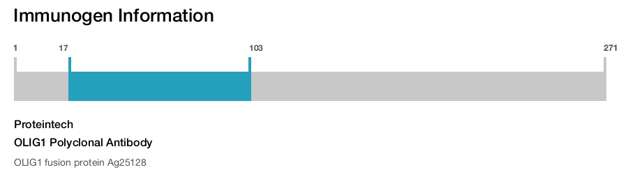 OLIG1 Polyclonal Antibody
