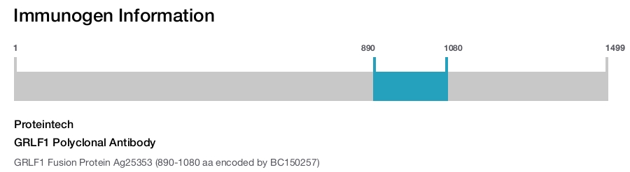 GRLF1 Polyclonal Antibody