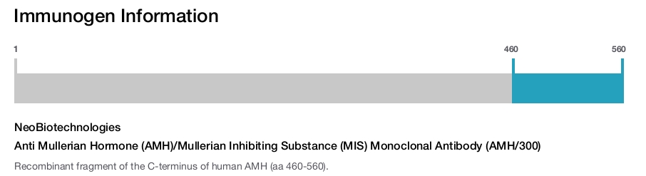 Anti Mullerian Hormone (AMH)/Mullerian Inhibiting Substance (MIS) Monoclonal Antibody (AMH/300)