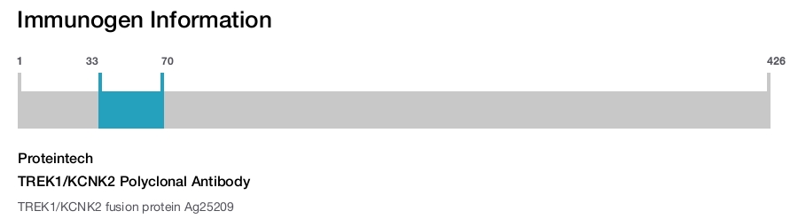 TREK1/KCNK2 Polyclonal Antibody