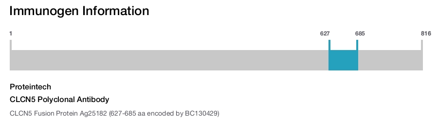 CLCN5 Polyclonal Antibody