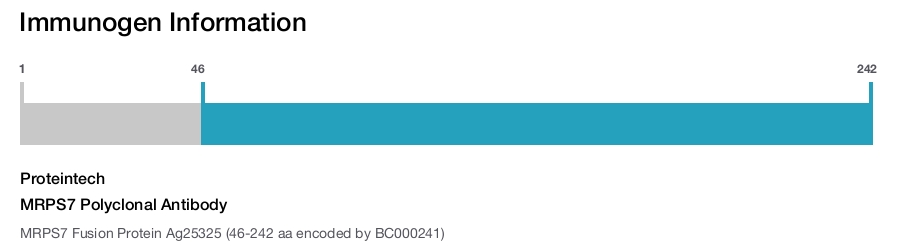 MRPS7 Polyclonal Antibody