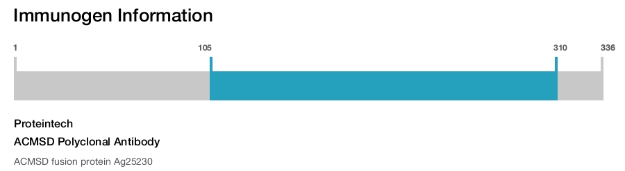 ACMSD Polyclonal Antibody