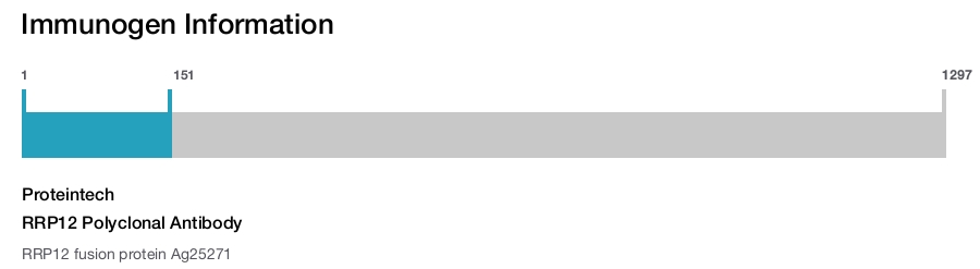 RRP12 Polyclonal Antibody