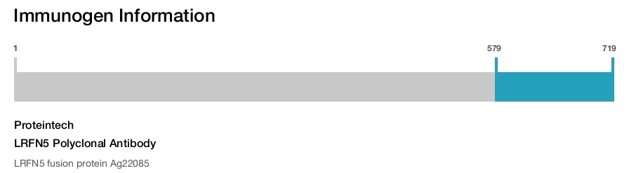 LRFN5 Polyclonal Antibody