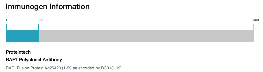RAF1 Polyclonal Antibody