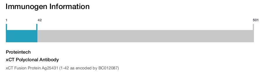 xCT Polyclonal Antibody