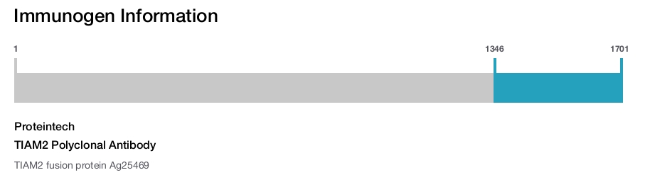 TIAM2 Polyclonal Antibody