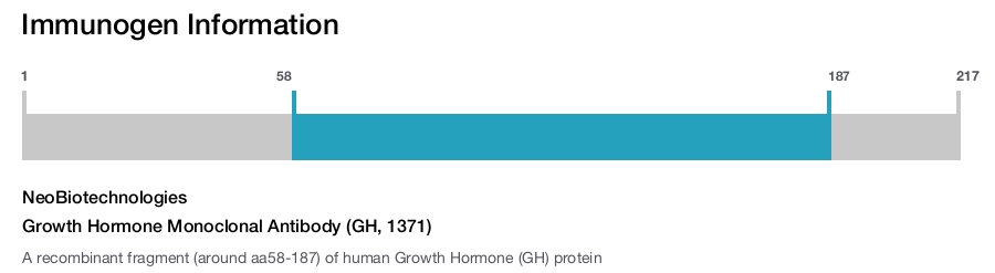 Growth Hormone Monoclonal Antibody (GH, 1371)