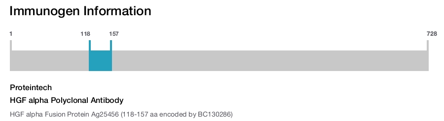 HGF alpha Polyclonal Antibody