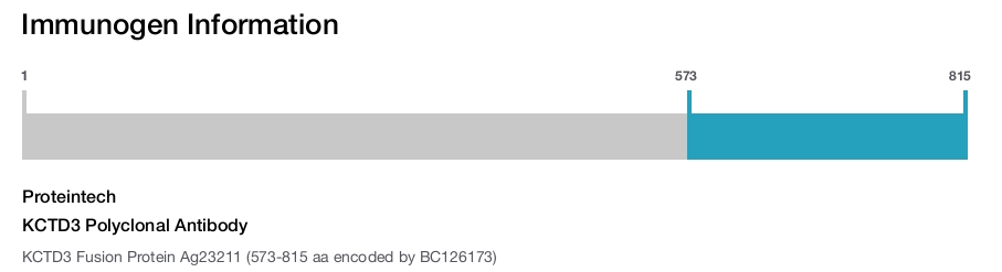 KCTD3 Polyclonal Antibody