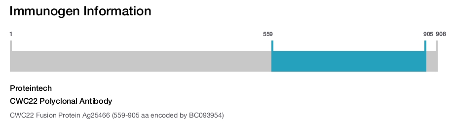 CWC22 Polyclonal Antibody