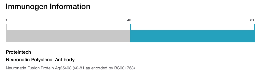 Neuronatin Polyclonal Antibody