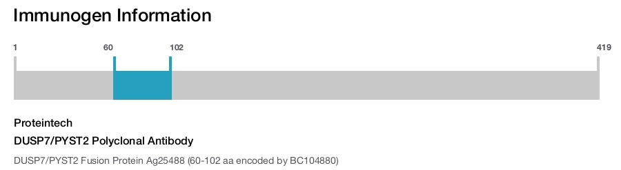 DUSP7/PYST2 Polyclonal Antibody