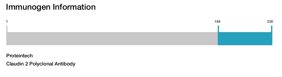 Claudin 2 Polyclonal Antibody