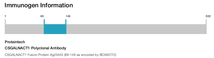 CSGALNACT1 Polyclonal Antibody