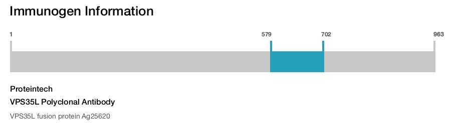 VPS35L Polyclonal Antibody