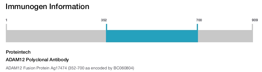 ADAM12 Polyclonal Antibody