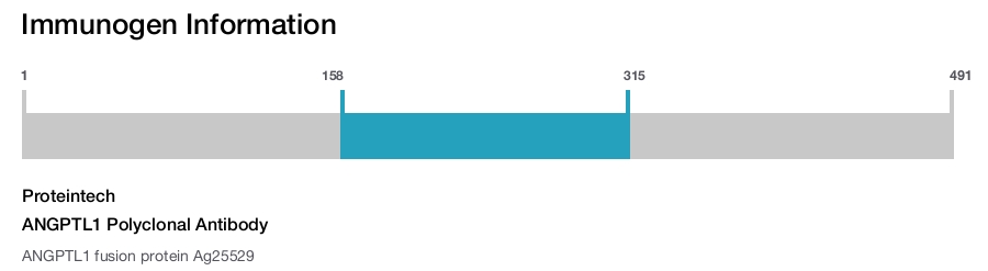 ANGPTL1 Polyclonal Antibody