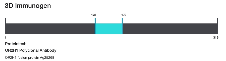 OR2H1 Polyclonal Antibody