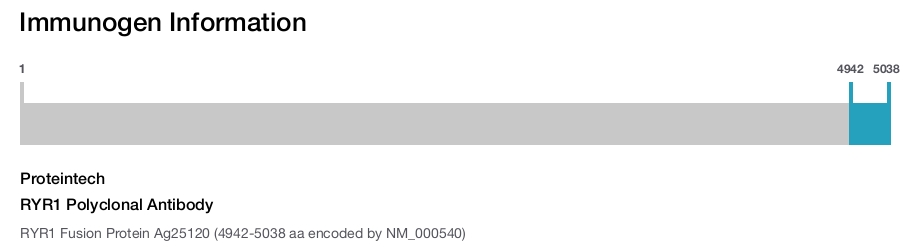 RYR1 Polyclonal Antibody