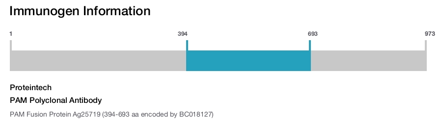 PAM Polyclonal Antibody