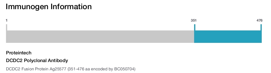 DCDC2 Polyclonal Antibody