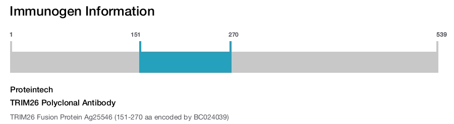 TRIM26 Polyclonal Antibody