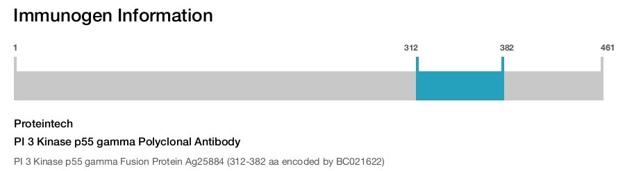 PI 3 Kinase p55 gamma Polyclonal Antibody