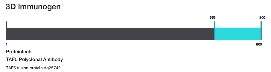 TAF5 Polyclonal Antibody