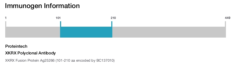 XKRX Polyclonal Antibody