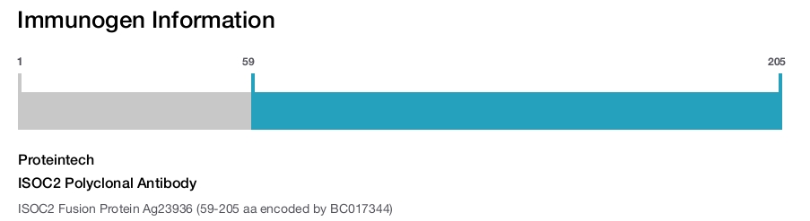 ISOC2 Polyclonal Antibody