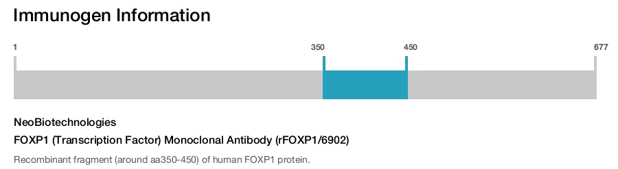 FOXP1 (Transcription Factor) Monoclonal Antibody (rFOXP1/6902)