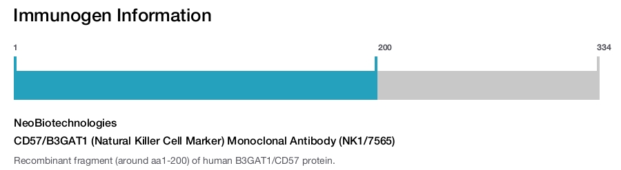 CD57/B3GAT1 (Natural Killer Cell Marker) Monoclonal Antibody (NK1/7565)