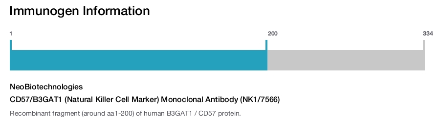 CD57/B3GAT1 (Natural Killer Cell Marker) Monoclonal Antibody (NK1/7566)