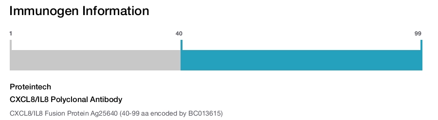 CXCL8/IL8 Polyclonal Antibody