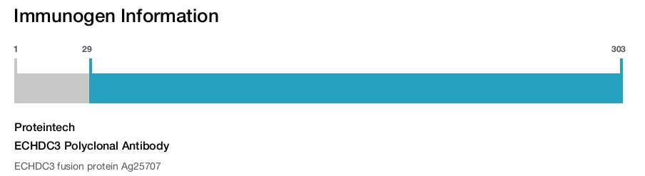 ECHDC3 Polyclonal Antibody