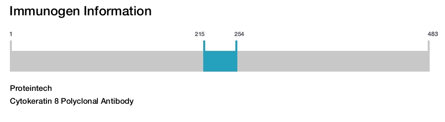 Cytokeratin 8 Polyclonal Antibody
