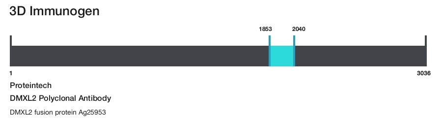 DMXL2 Polyclonal Antibody