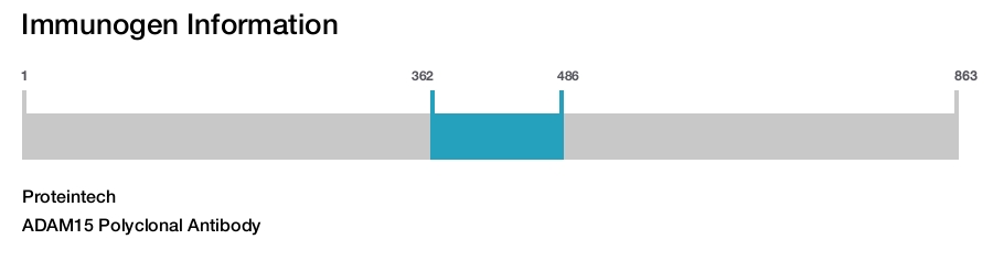 ADAM15 Polyclonal Antibody