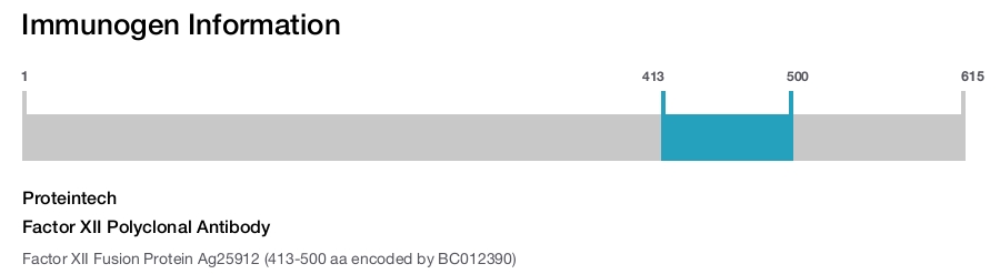 Factor XII Polyclonal Antibody