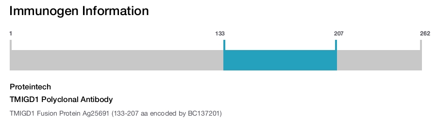 TMIGD1 Polyclonal Antibody