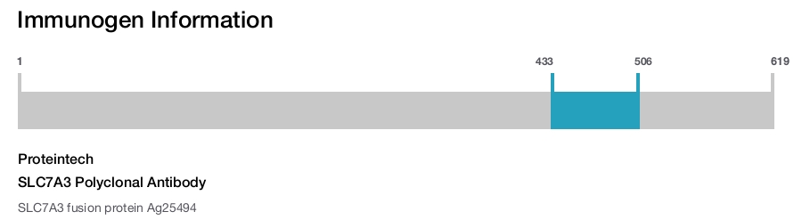 SLC7A3 Polyclonal Antibody