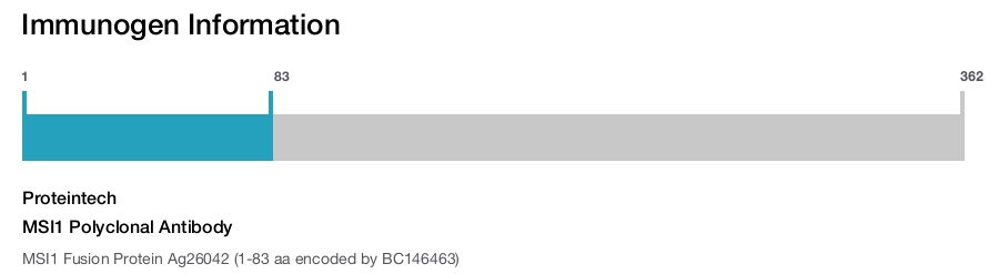 MSI1 Polyclonal Antibody