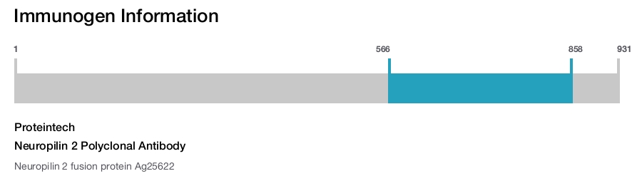 Neuropilin 2 Polyclonal Antibody